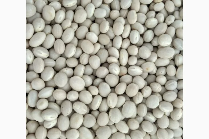 Квасоля сахарна біла кругла- фото № 1