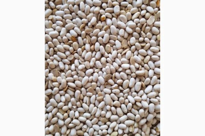 Фасоль белая Мавка 100 тонн 2021 года- фото № 4