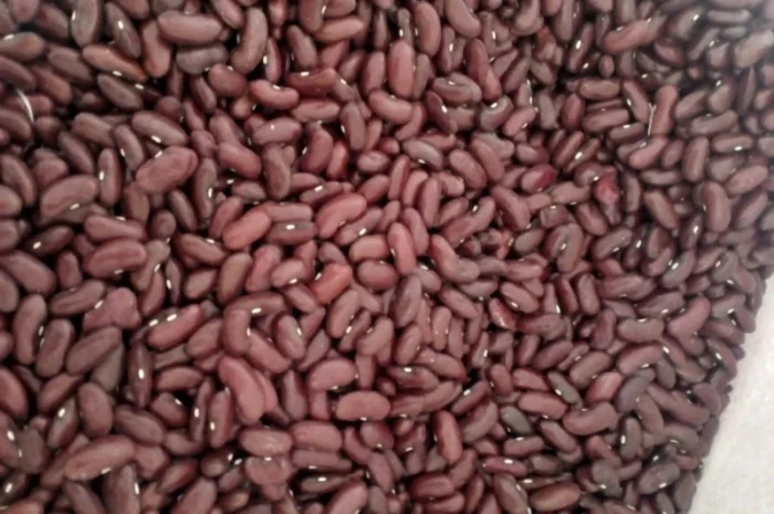 Продам квасолю- фото № 5