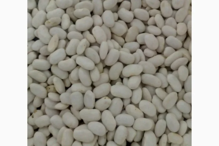 Продам квасолю- фото № 1