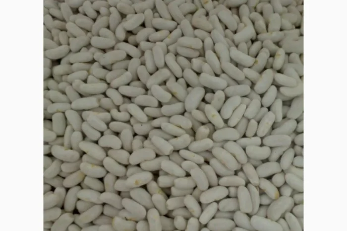 Продам квасолю- фото № 3