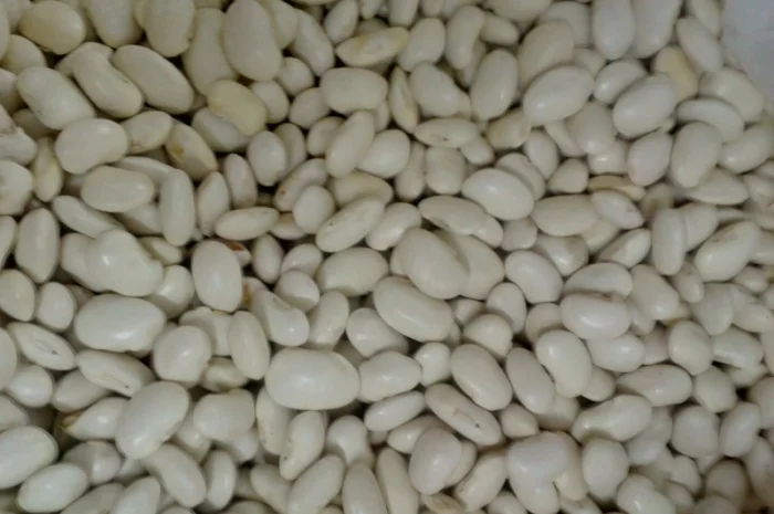 Продам квасолю- фото № 4