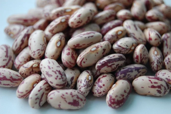 Куплю фасоль(рябка- фото № 3