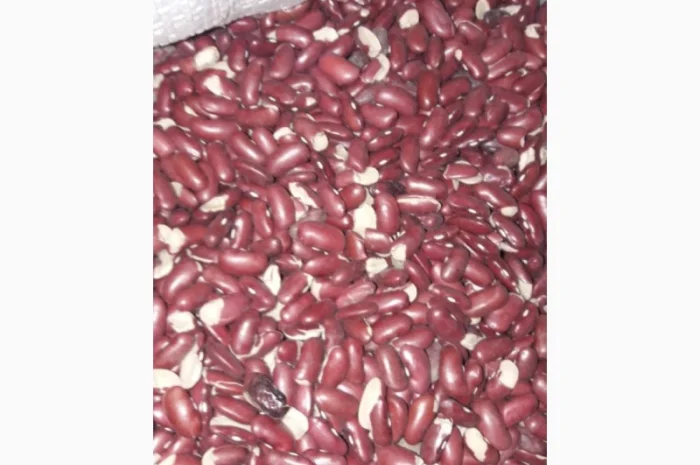 Продаємо квасолю на корм тваринам- фото № 1