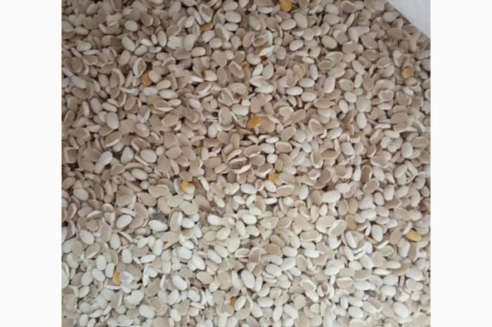 Продаємо квасолю на корм тваринам- фото № 3