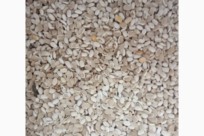 Продаємо квасолю на корм тваринам- фото № 4