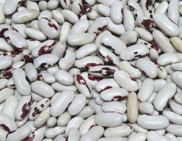 Закуповуємо гуртом- фото № 11