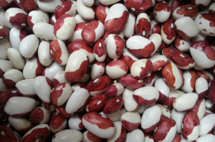 Закуповуємо гуртом- фото № 13