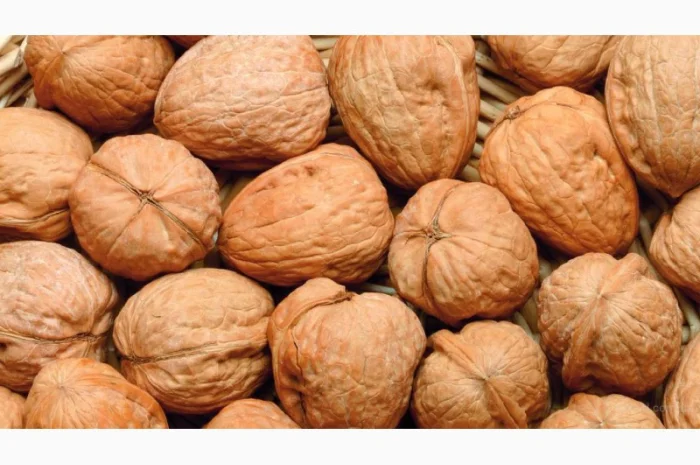 Закуповуємо гуртом- фото № 14