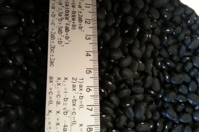 Закуповуємо гуртом- фото № 15