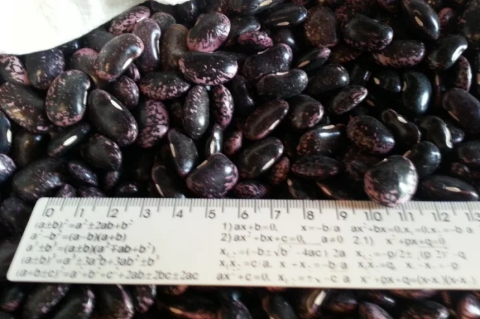 Закуповуємо гуртом- фото № 7