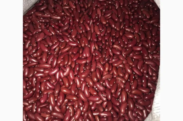 Купуємо квасолю "Томатка"- фото № 2