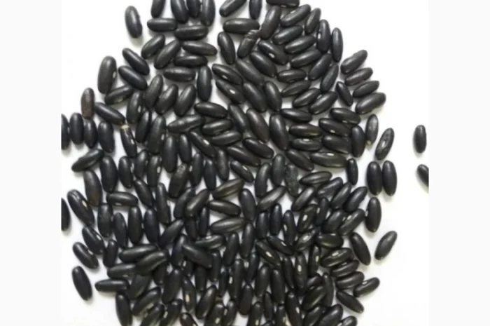 Продаємо чорну квасолю- фото № 1