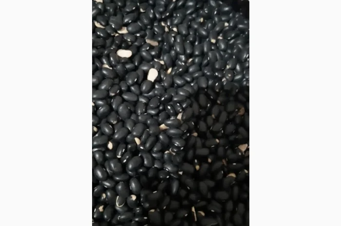 Продаємо чорну квасолю- фото № 2