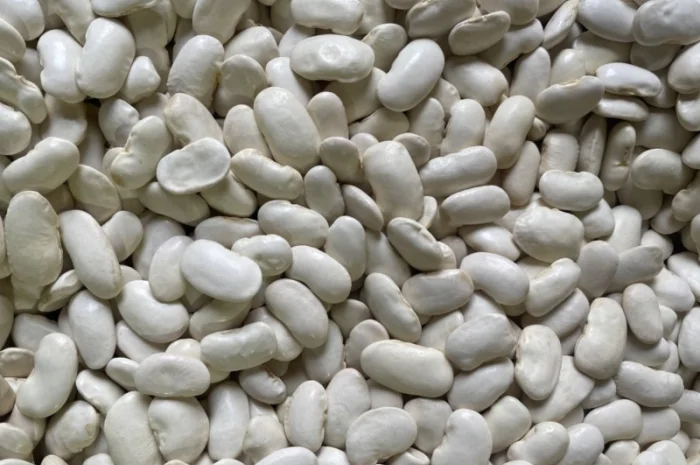 Квасоля ясь королівський- фото № 1