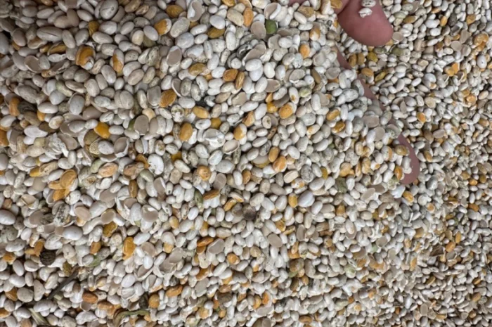 Продам половинку фасоли- фото № 4