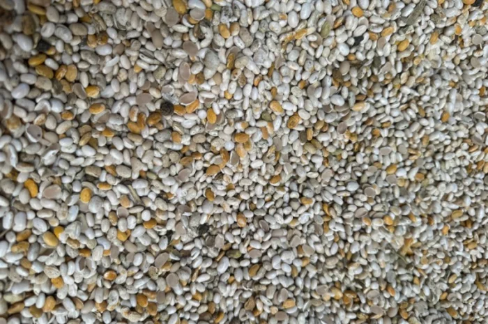 Продам половинку фасоли- фото № 5