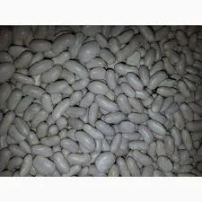 Купуємо білу квасолю на переробку- фото № 1