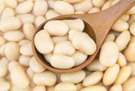 Приймаємо квасолю на переробку- фото № 1