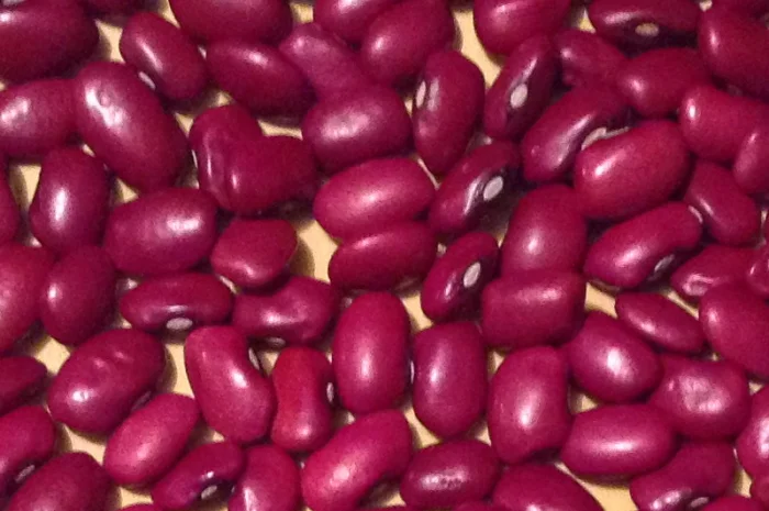 Продовольча квасоля в асортименті- фото № 1