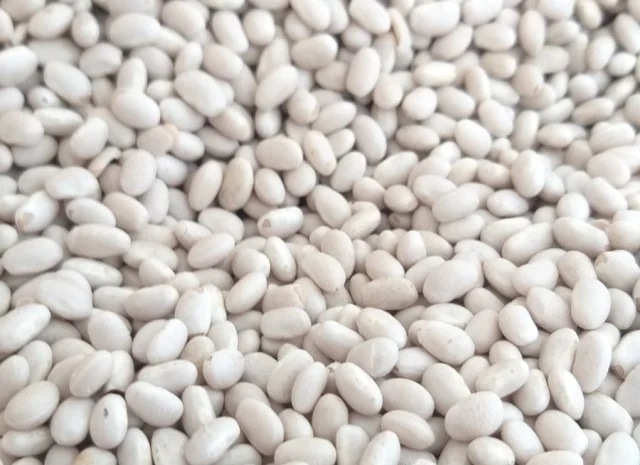 Переробник закуповує білу квасолю- фото № 1