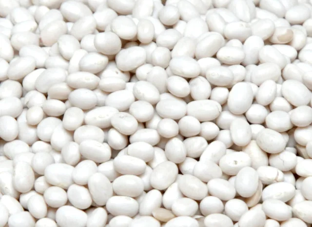 Продаж квасолі. Продам квасолю. Купити квасолю- фото № 1