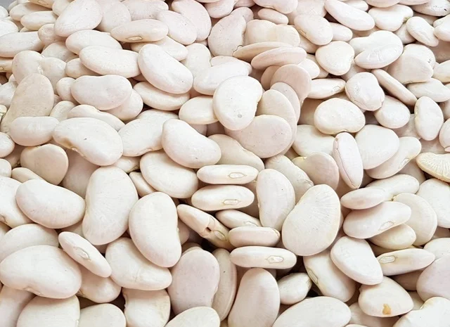 Продаємо квасолю- фото № 1