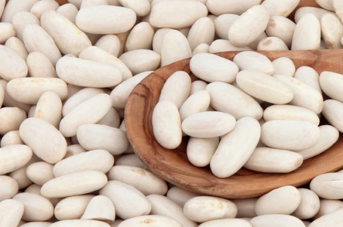 Продам високоякісну квасолю різних сортів- фото № 1