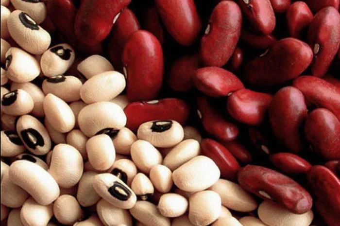 Закуповуємо квасолю білу- фото № 1