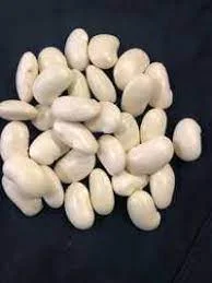 Переробник закуповує білу квасолю- фото № 1