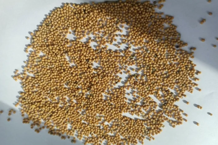 Продажа зерна: отходы и мучка- фото № 3