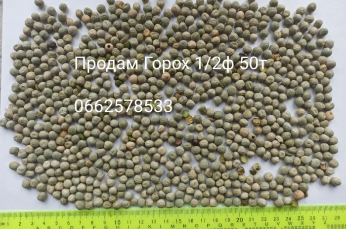 Продажа зерна: отходы и мучка- фото № 4