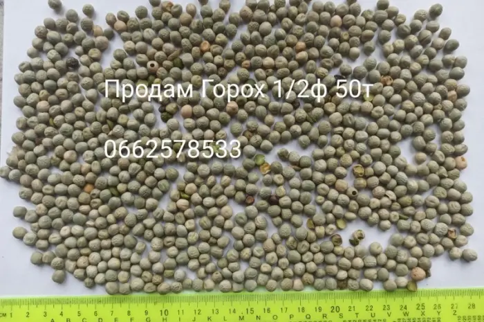 Продам зерно відходи- фото № 4