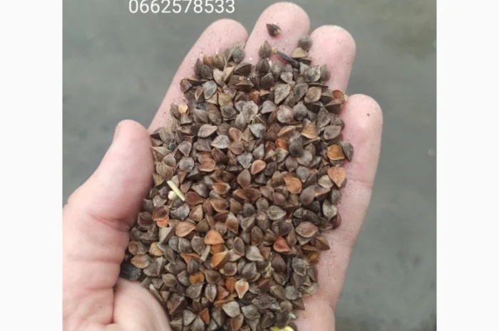 Продажа зерна: отходы и мучка- фото № 5