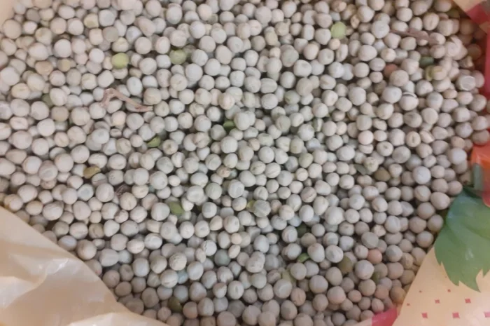 Продам горох- фото № 2