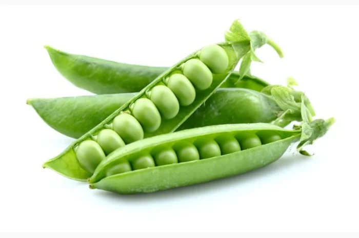 Продажа семян жёлтого гороха сорта Астронавт (СН-1)- фото № 1