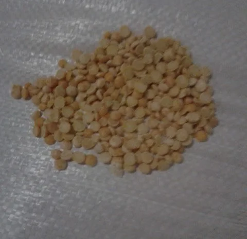 Горох жовтий колотий шліфований оптом- фото № 2