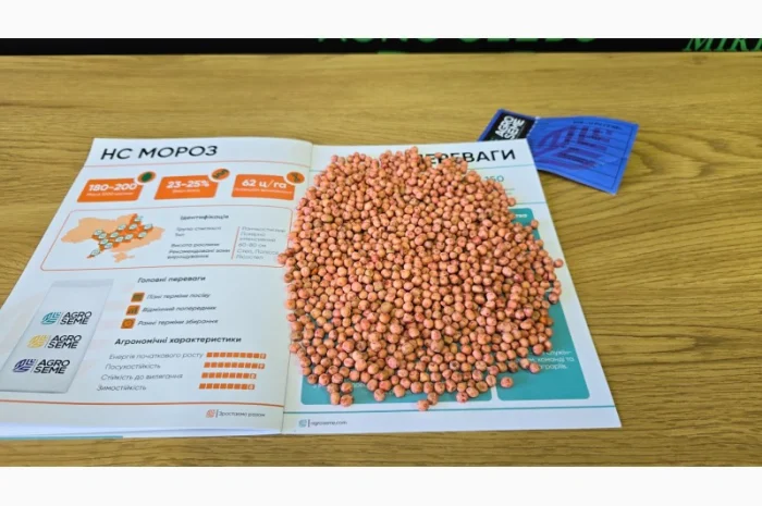 Озимый горох "НС Мороз" - высокоурожайный сорт- фото № 2