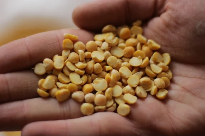 Продам горох. Від постачальника з 100 тонн- фото № 3