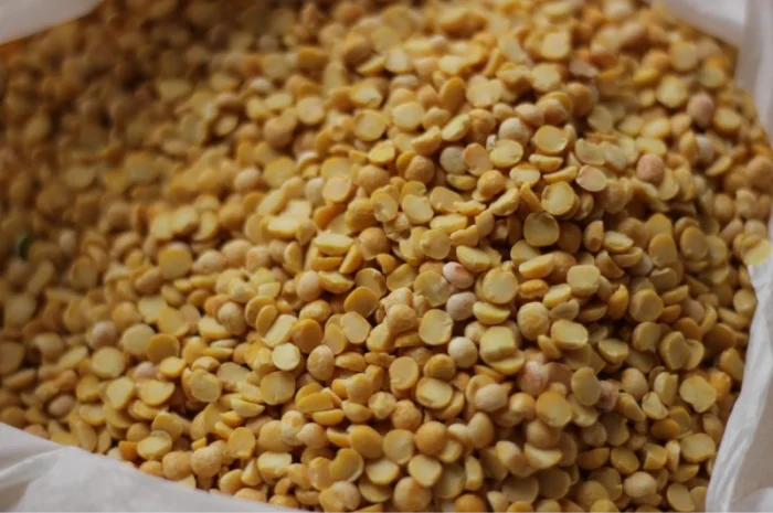 Продам горох. Від постачальника з 100 тонн- фото № 5