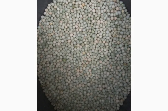 Продам горох. Від постачальника з 100 тонн- фото № 9