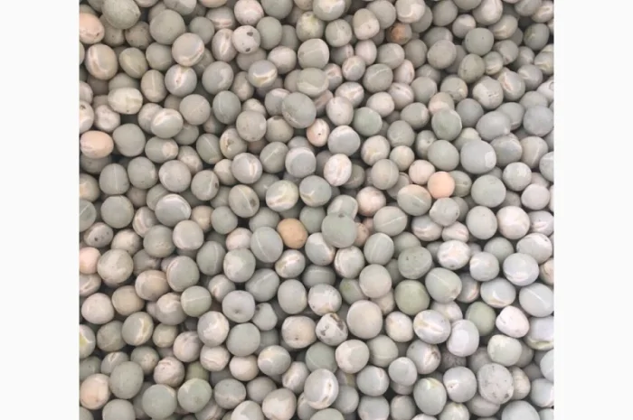 Продам горох. Від постачальника з 100 тонн- фото № 10