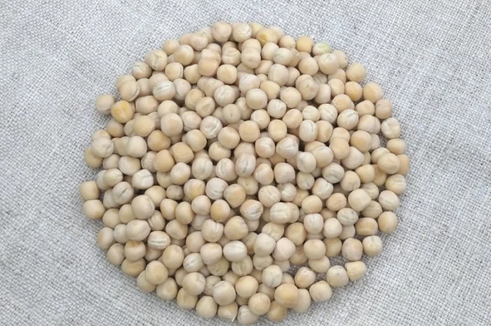 Насіння гороха Оплот – продаж- фото № 6