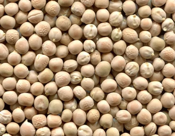 Закупаем жёлтый горох- фото № 1