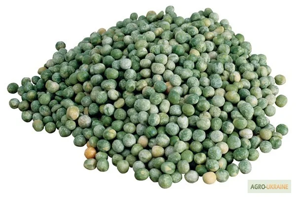 Закупаем жёлтый горох- фото № 2