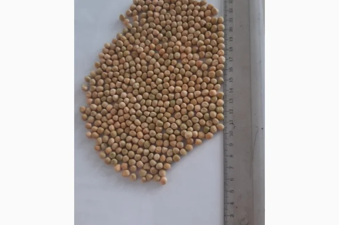 Горох "Есо" 2р з ПДВ- фото № 1