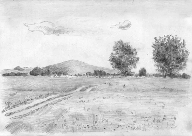 Закупаем отходы и некондицию гороха- фото № 1