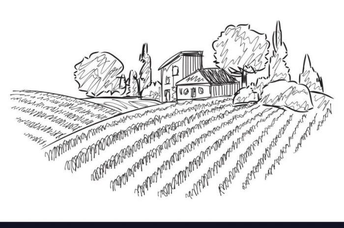 Закупаем любой горох для переработки- фото № 1