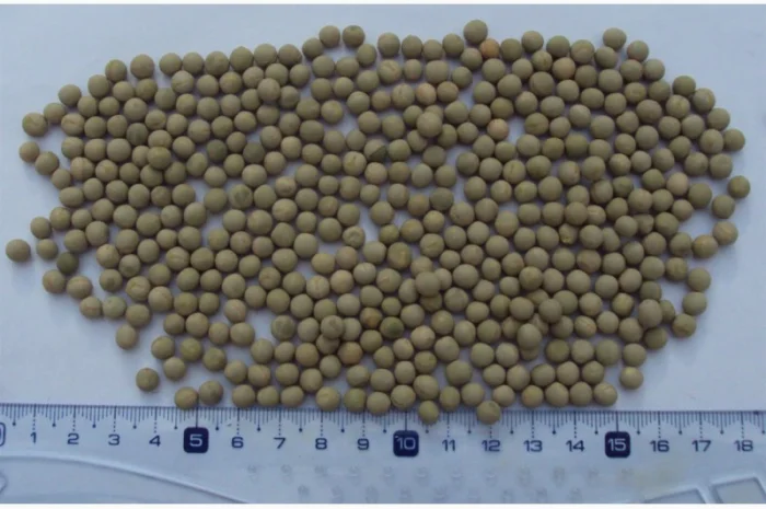 Зеленый горох и нут из Аргентины- фото № 1