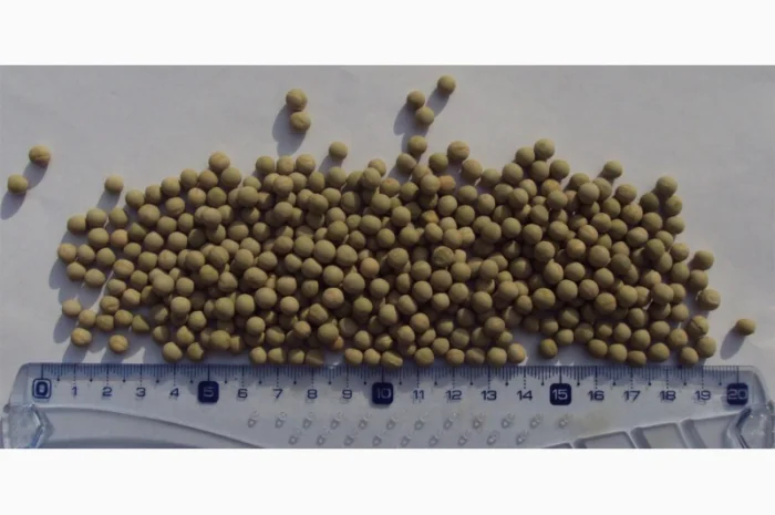 Зеленый горох и нут из Аргентины- фото № 2